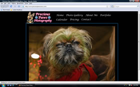 Precious Paws Photography | Waco, Texas
