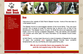 D&S Ranch Basset Hounds